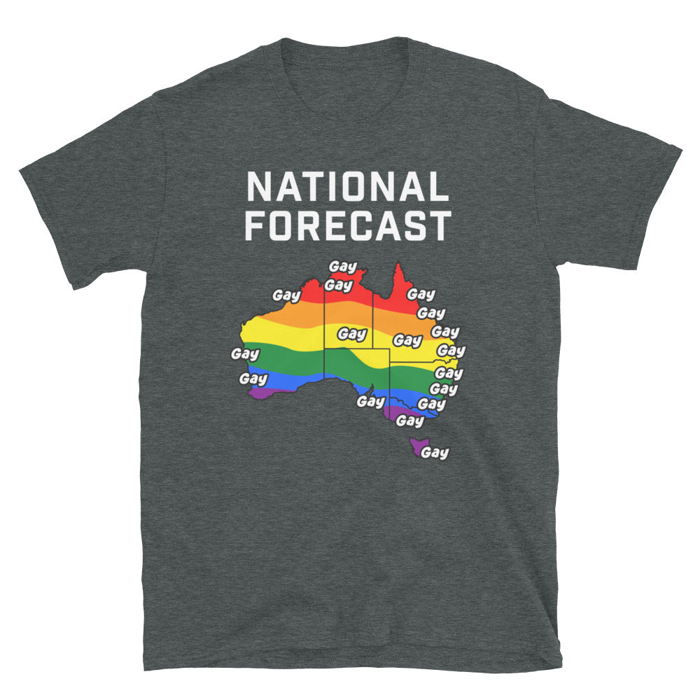 National Forecast is Gay Shirt