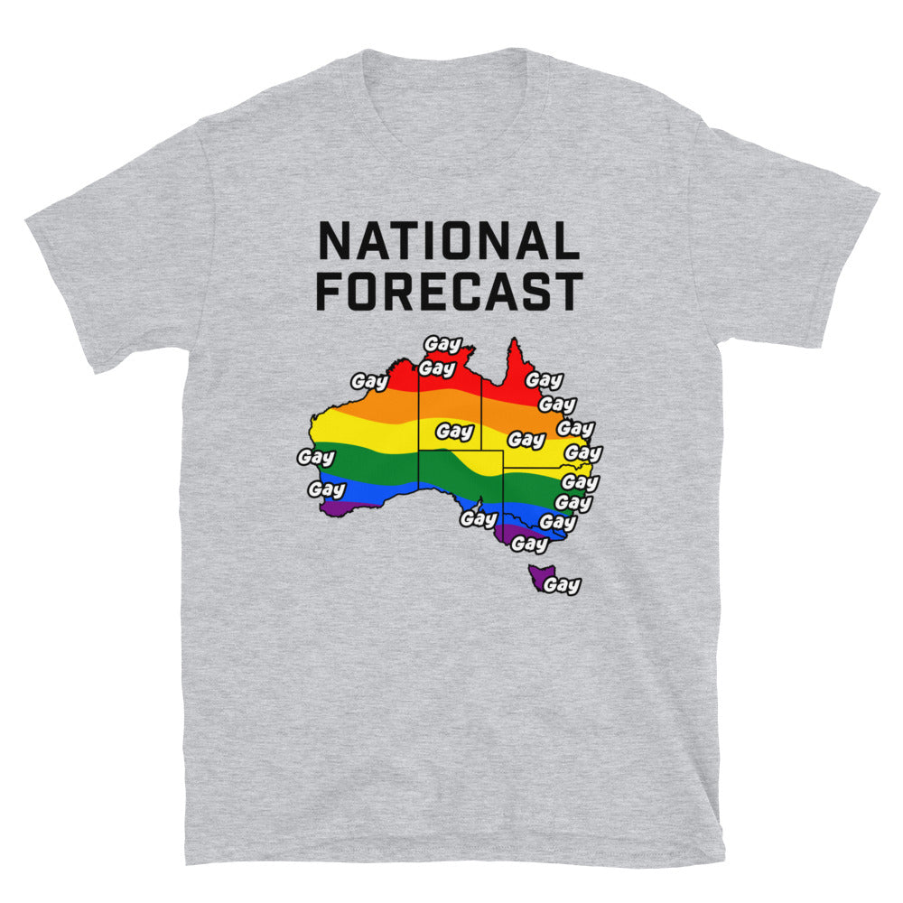 National Forecast is Gay Shirt